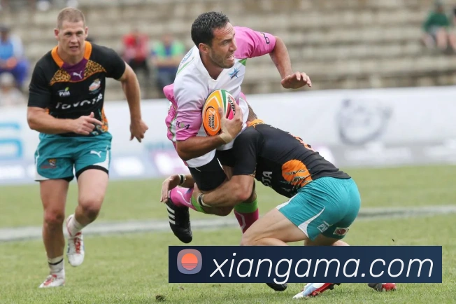 安博app官网登录入口全站App